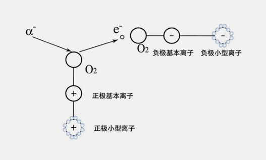 product7-print1.jpg